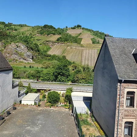 Gaestehaus Hotel Zum Weinberg Burg  Room photo